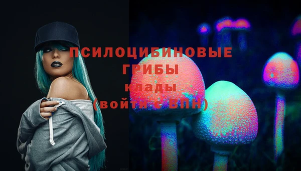 амфетамин Богородицк