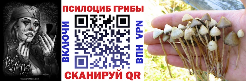Псилоцибиновые грибы Psilocybine cubensis  Пестово 