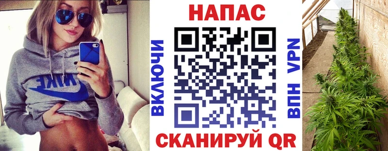 ОМГ ОМГ ссылка  Пестово  Марихуана семена 